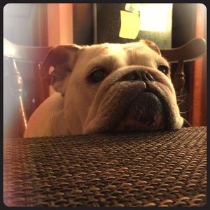 Meet your Posher, Amy